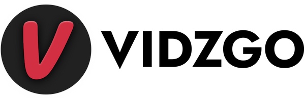 vidzgo